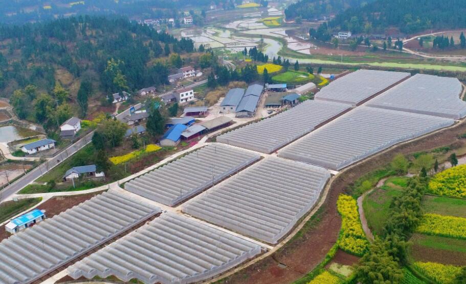高质量建设现代农业产业园 示范引领农业现代化 ——农业农村部、财政部有关司局负责人就国家现代农业产业园建设有关问题答记者问