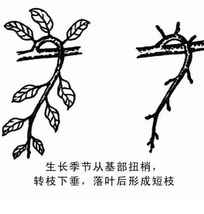 微信截图_20210428182434.png